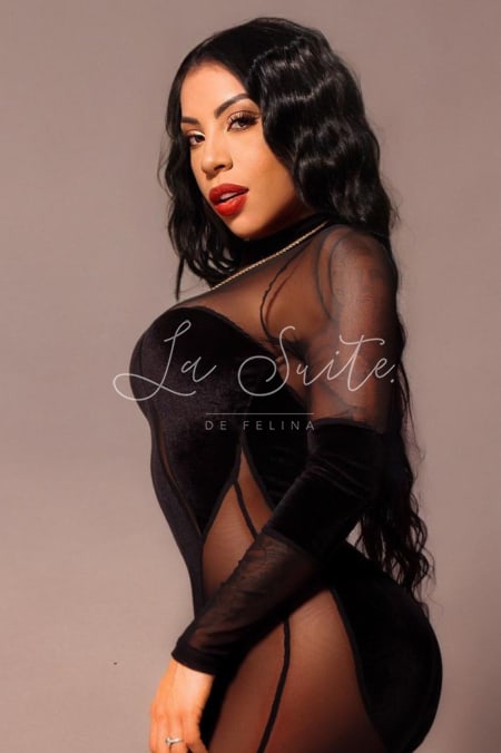 Callgirl de luxe en lingerie noire transparente dans La Suite BCN, Viviana